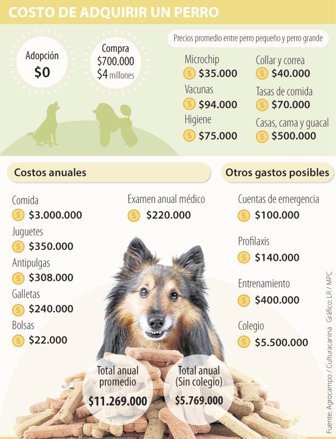 perro0824-100