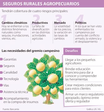 seguros1107-1000