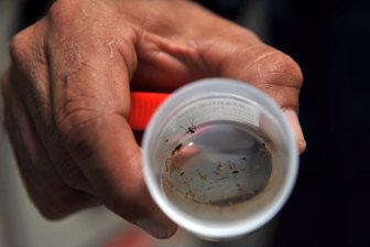 zika