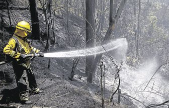bomberos0401-1000