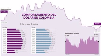 dolar0406-1000