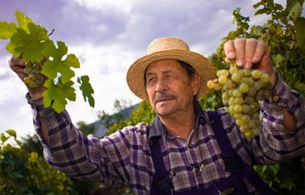 vinos0604-1000