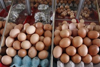 huevos_con_menos_grasa7