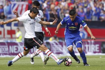 colo colo bloom