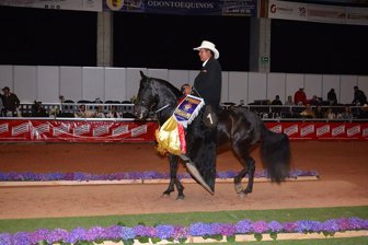 Caballo