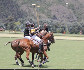 ppal-polo