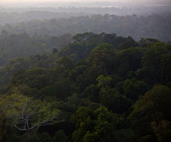 Amazonía brasilera