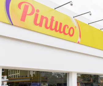 Pintuco