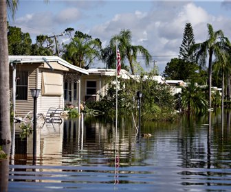 Irma