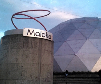 maloka-3-colp