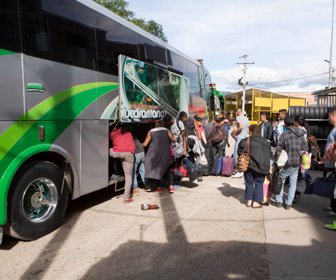 BUSES