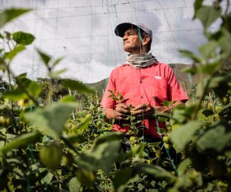 Agricultores-2