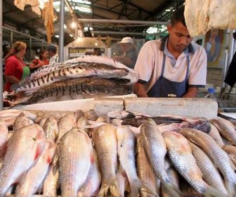 pescado