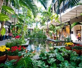 bal-harbour-shops_1.jpg_2705216-1