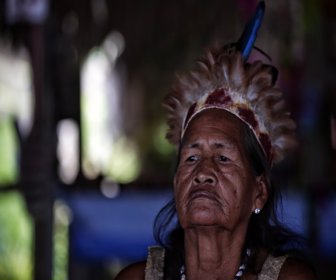 amazonas