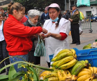 consumo-alimentos