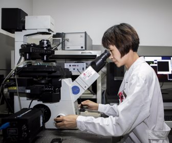 Laboratorio