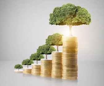 Concept of money tree growing from money