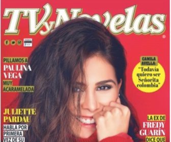 TvyNovelas
