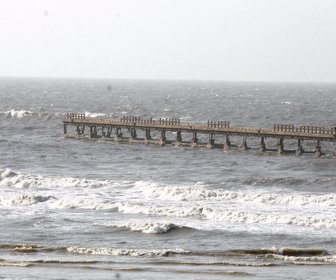 muelle-web