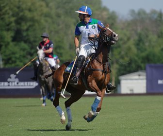 polo_