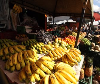 banano-corabastos_LR-51