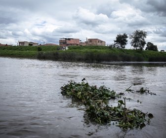 Río-Bogotá