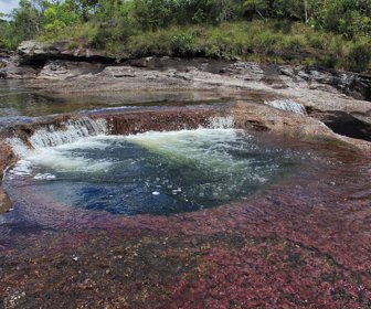 cañocristales