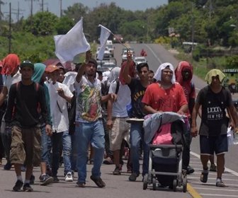 migrantes