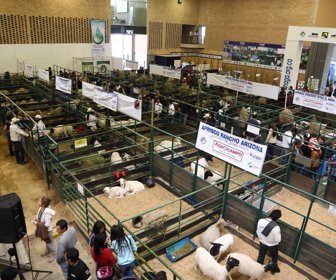Agroexpo 2019