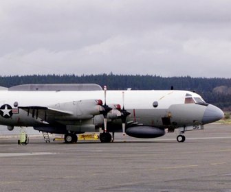 aviòn