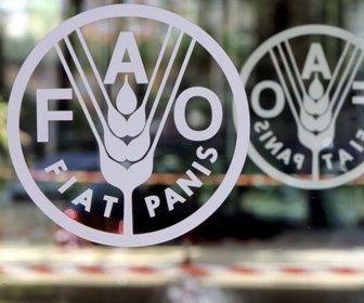 FAO