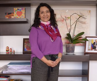 Web Claudia Puentes- Secretaria de Educación