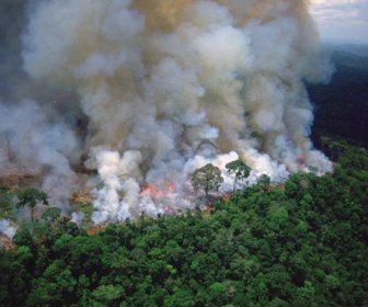 incendio amazonía twitter