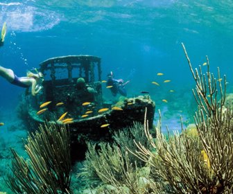 buceo