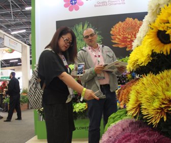 Proflora