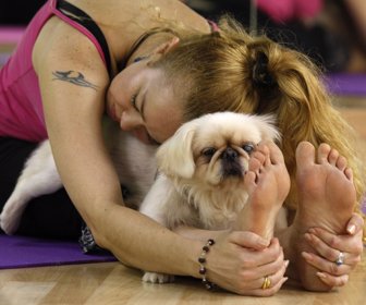 web doga-reuters