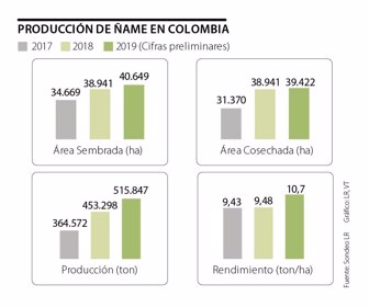 eco_ñame_p3