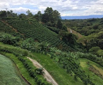 Hacienda Alsacia