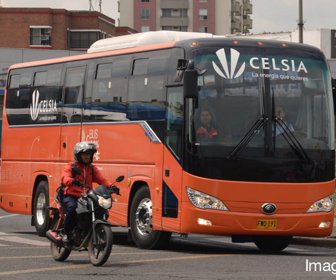 buses