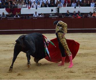 toros