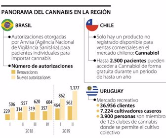 Globo_PanoramaCannabis_p34_Lunes