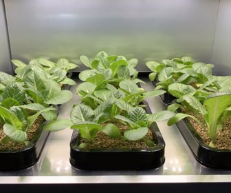 LG-Indoor-Garden-003 (1)