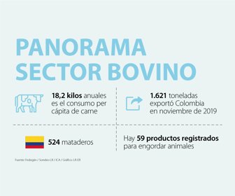 Primera_PanoramaBovino