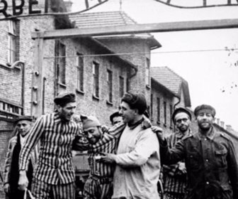 auschwitz (3)