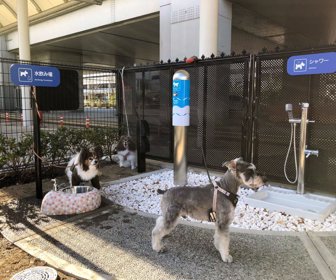 Aeropuerto de Osaka