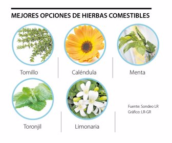 ocio_aromaticas_p26_1080x900