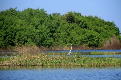 Ciénaga-SantaMarta