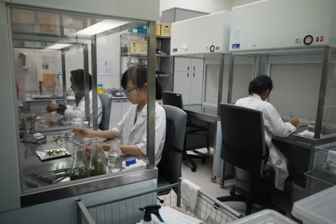 laboratorio
