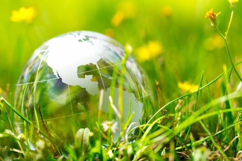 Green & Eco environment, glass globe in the garden